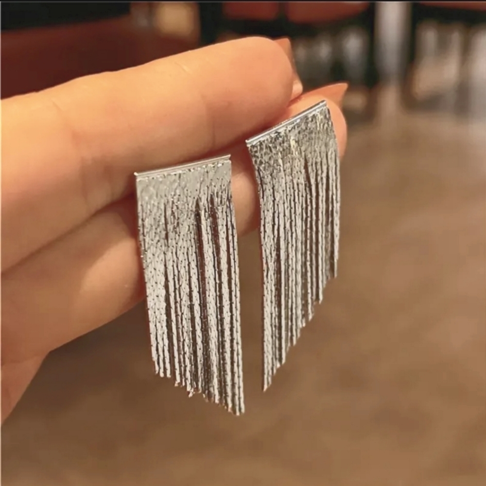 NEW, Long Silver Glossy Earrings
